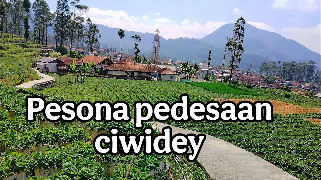 Suasana Alam Desa alamendah,Kecamatan Ciwidey