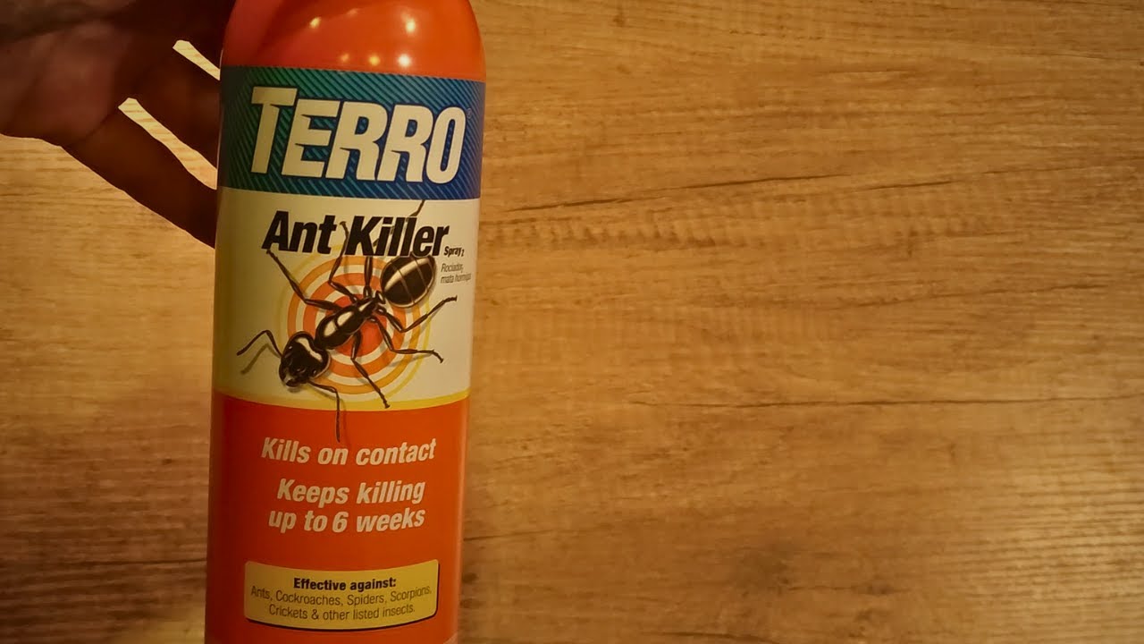 TERRO T401-6 Indoor Outdoor Ant Killer Spray 16oz - Product Video