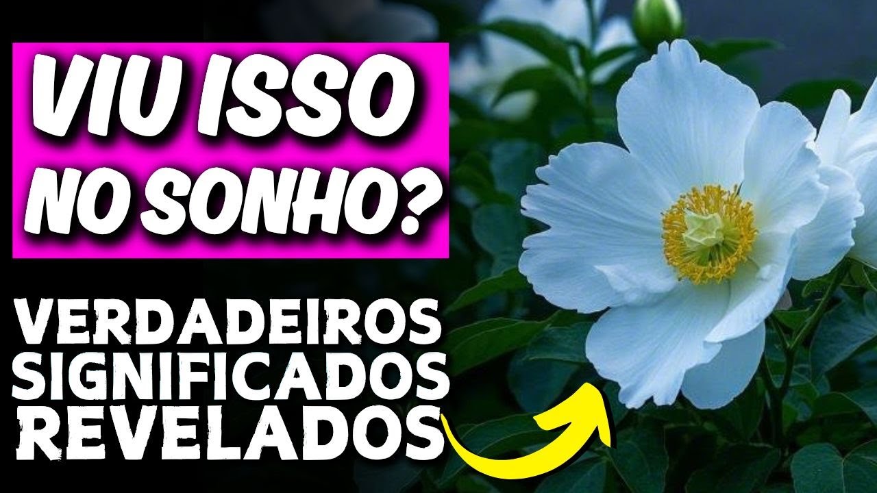 SONHO COM FLORES BRANCAS: O Que Significa Sonhar Com Flores Brancas | TODO CUIDADO NESSE SONHO