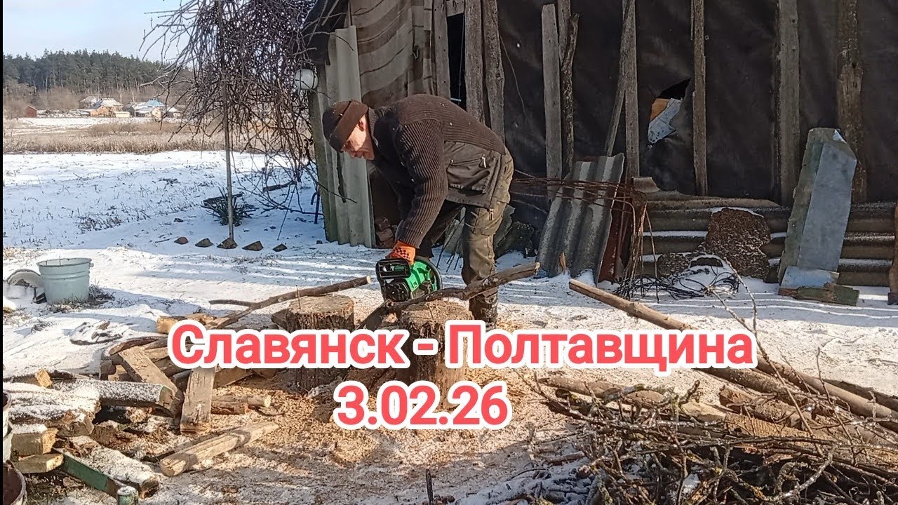 Строим укрытие для Барабаки. Нашёл клад в сарае. Дрова.