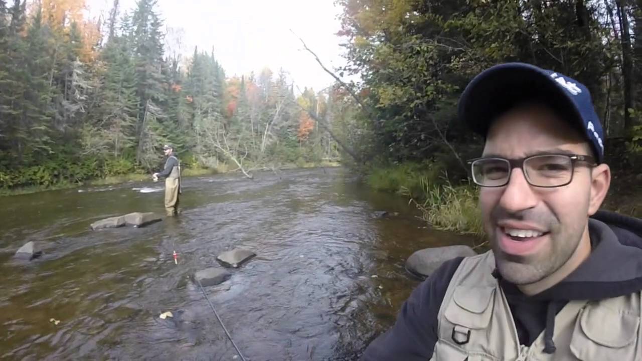 Wisco 2015  - When Bears Call