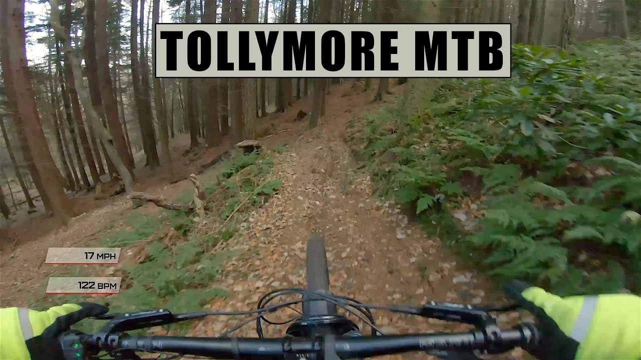 Tollymore natural MTB trails