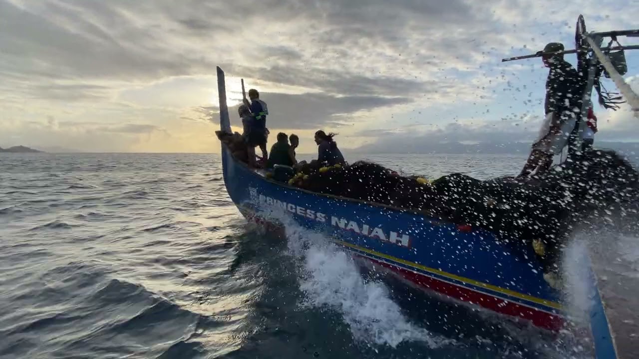 Palakaya Fishing 