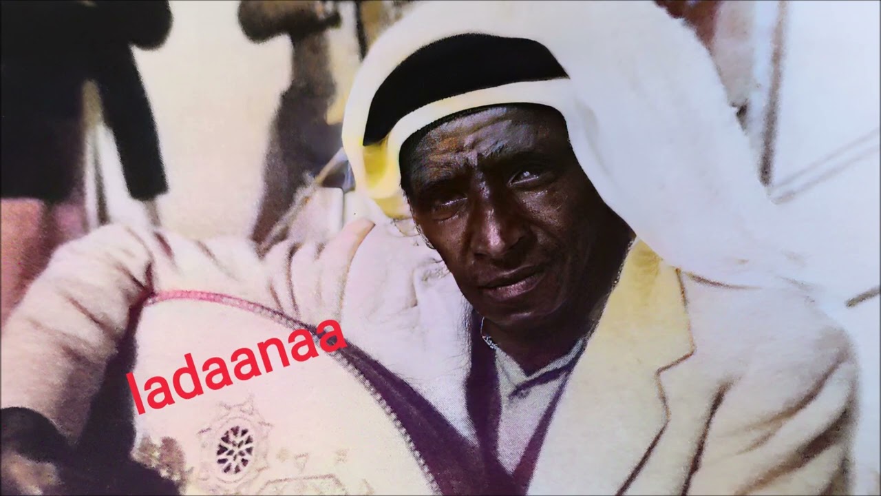 محمد زويد يا شادى البان