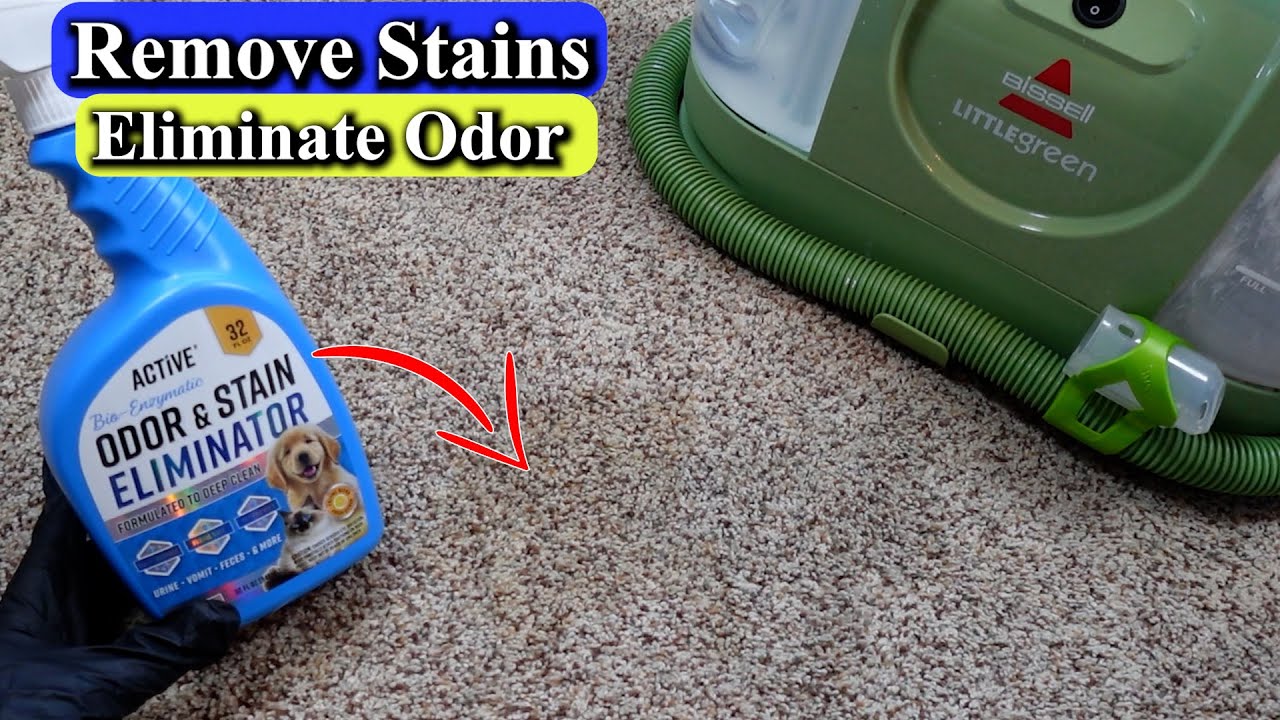 How To Clean Dog Pee Out of Carpet