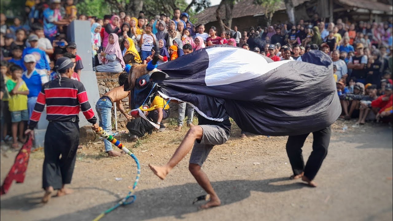Banteng kalap masal Bantengan kuda kembar                                              #Bantengkalap