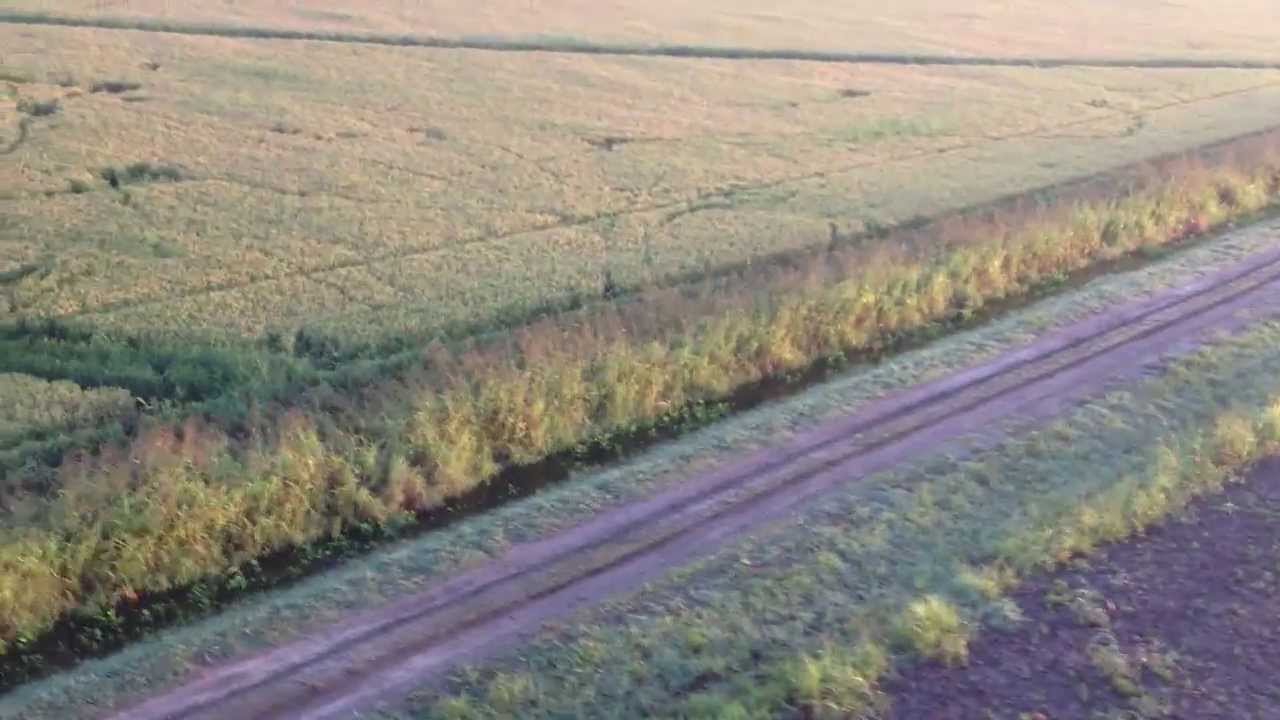 Texas Helicopter Hog Hunt with 12 gauge shotgun