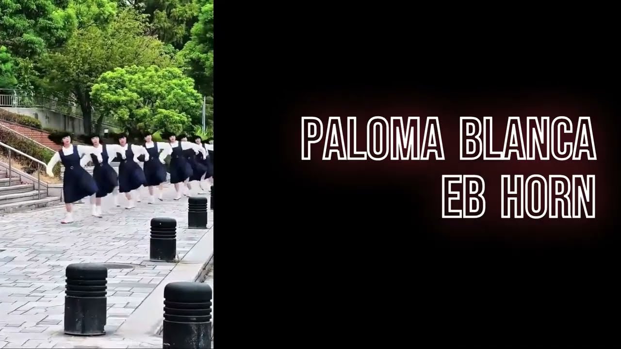 Paloma Blanca Eb Horn