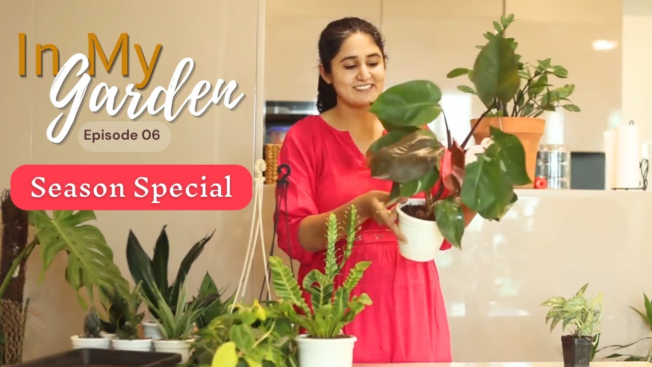 Plant Shopping: What did I get after 1.5 years | Ep.6 | In My Garden | Season Special | 