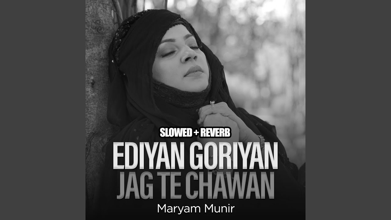 Ediyan Goriyan Jag Te Chawan (Lofi-Mix)