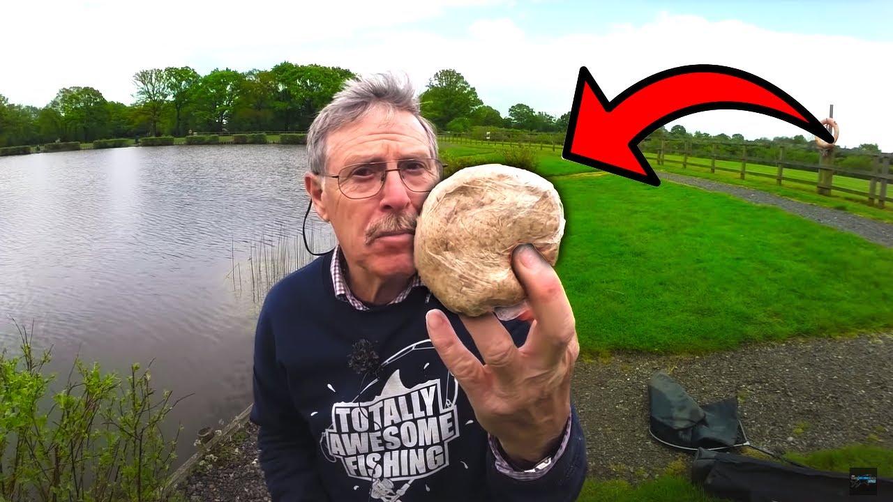 Paste Bait Fishing Challenge | Trick Bait for Sea Fish | What's going on with our Waters?!