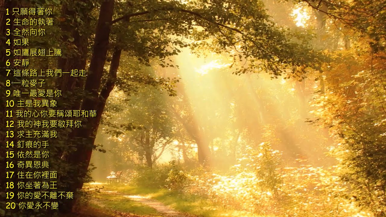 80分鐘靈修詩歌集1 (純音樂) 80-minute Devotional Hymns Collection 1 (instrumental music)