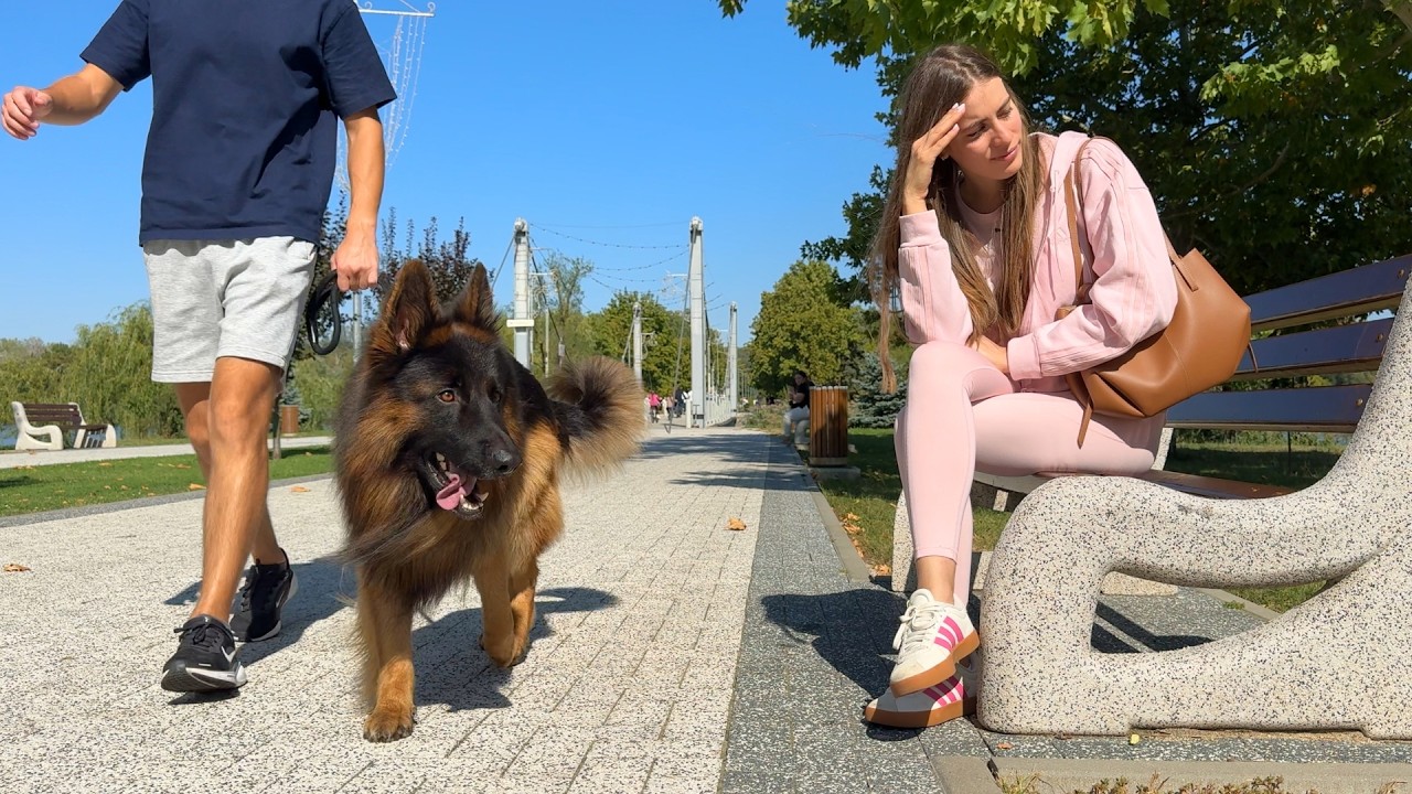 Заметят ли меня мои собаки в общественных местах?