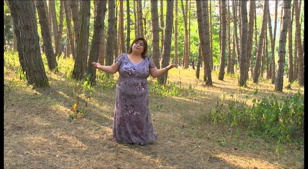 Azərbaycandan əsintilər   Gədəbəy