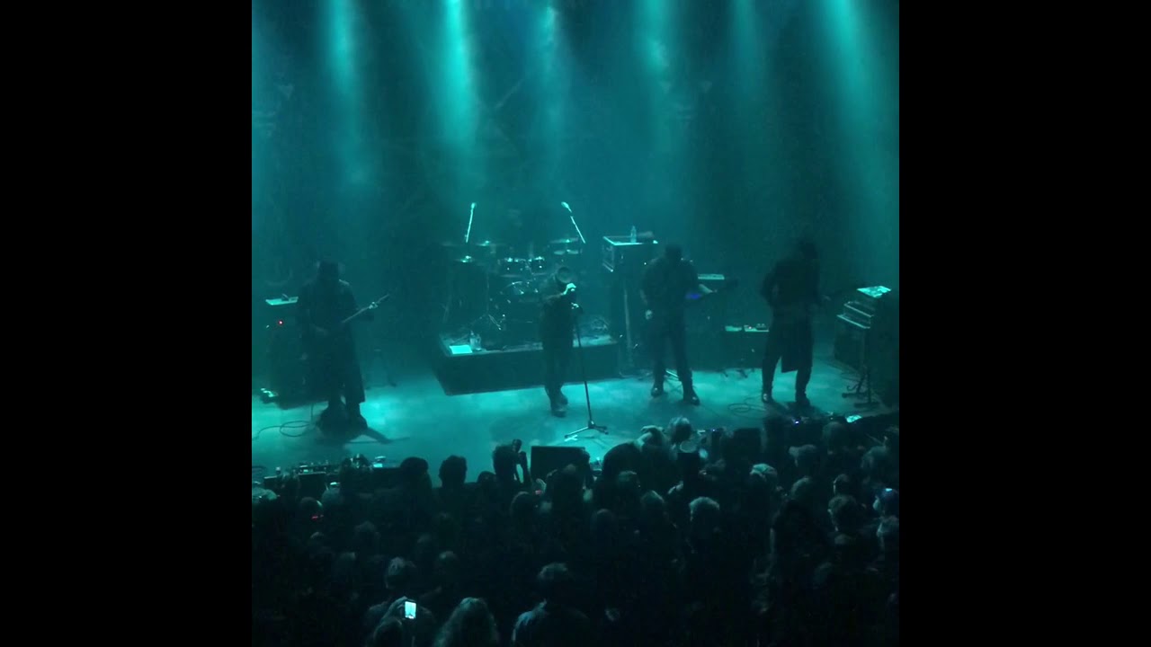Fields Of The Nephilim : Love under will