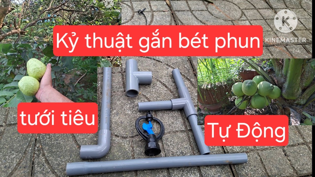 Làm Hệ Thống Phun Tưới Tự Động Cho Ổi, Bầu, Mướp Ai Cũng Làm Được  [phần 1]
