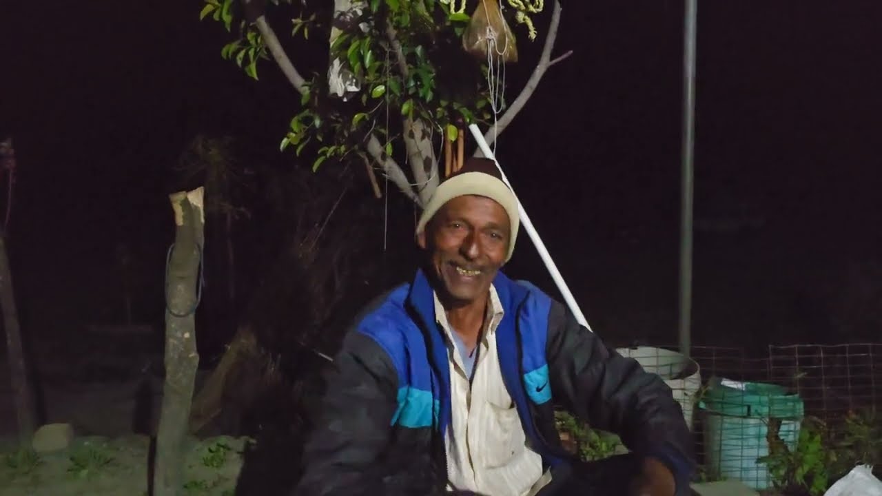 भूत जंगल में । Horror Experience In Jungle । Tiger को पत्थर मारा क्योंकि घात लगा कर इंतजार कर रहा था