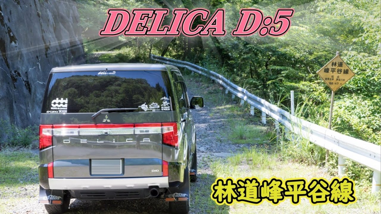 2025 6 28 デリカD:5 林道峰平谷線を走ってきた！