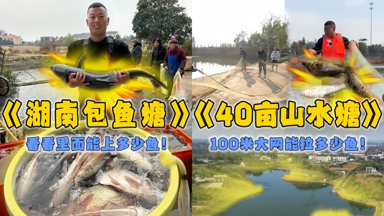 小飞哥花8500元在湖南包下个鱼塘，看看到底能上多少鱼？｜跟华哥花1万包下40亩的山水塘，看看里面的鱼会有多大？