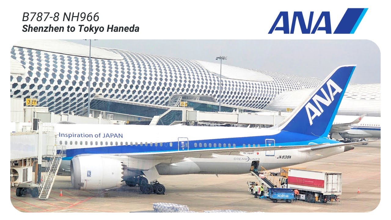 ANA | Shenzhen to Tokyo Haneda | B787-8 Economy Class | Food is SUPER STUNNING