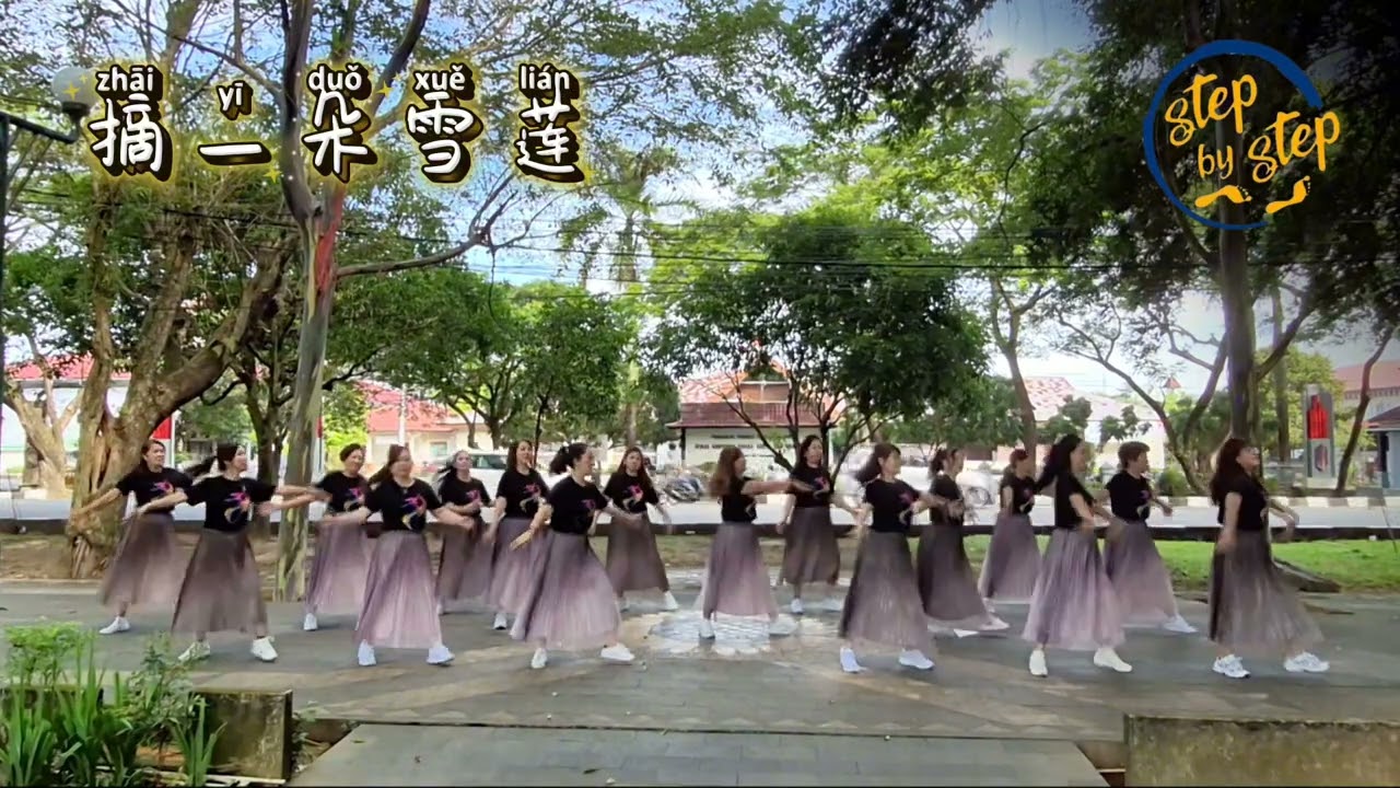 摘一朵雪莲|| Zhāi yī duǒ xuělián #stepbystep #linedance 