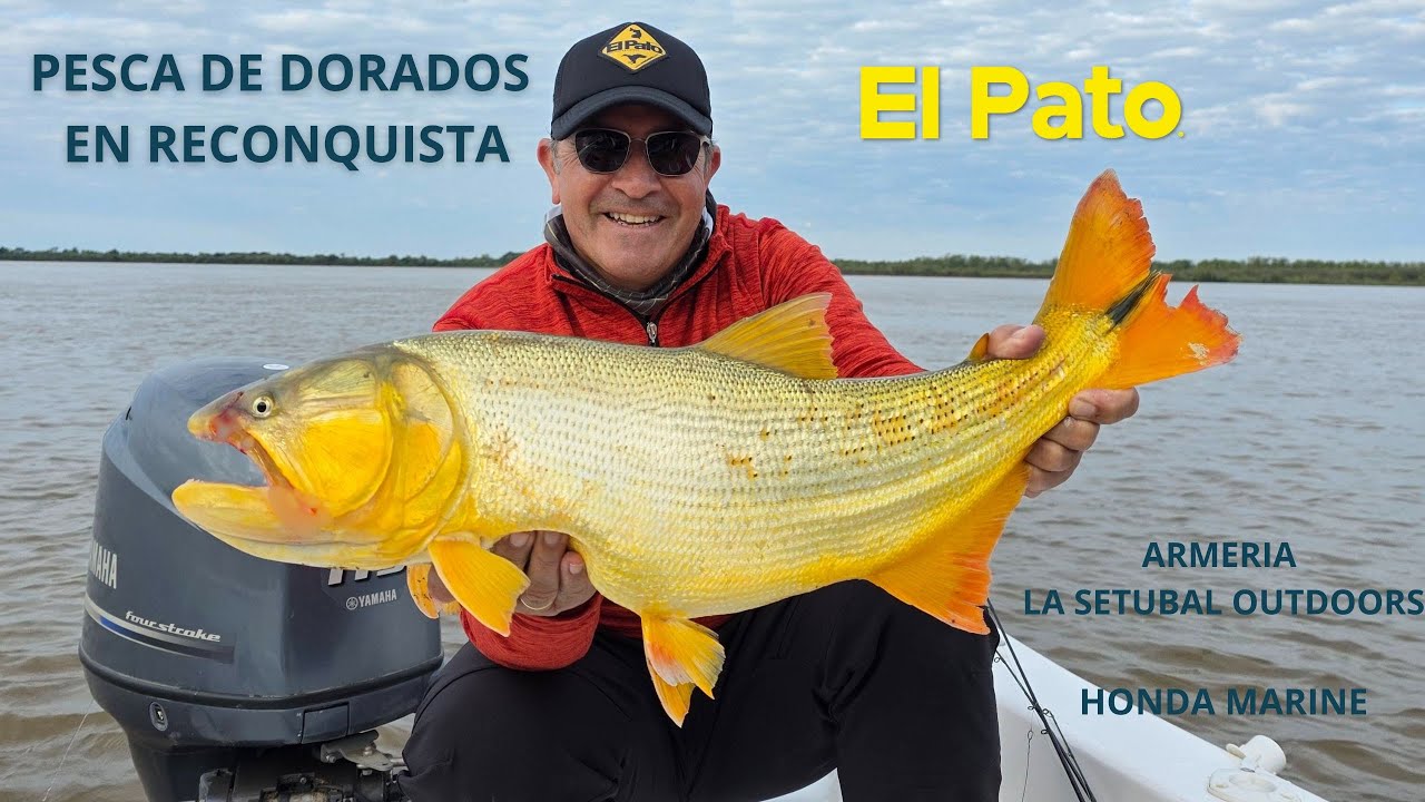 PESCA DE DORADOS EN RECONQUISTA, ARMERÍA LA SETUBAL OUTDOORS Y HONDA MARINE - EL PATO TV 1203