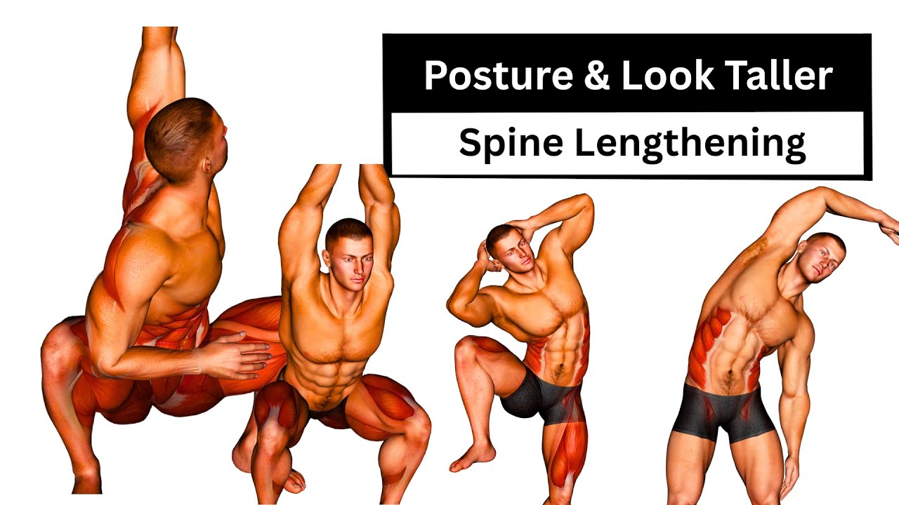 Fix Bad Posture & Look Taller | Spine Lengthening Exercises