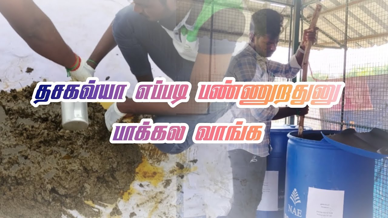 தசகவ்யா எந்த மாதிரியான பூச்சிகளை கட்டுப்படுத்தும்? | Organic Pest Control | Natural Farming