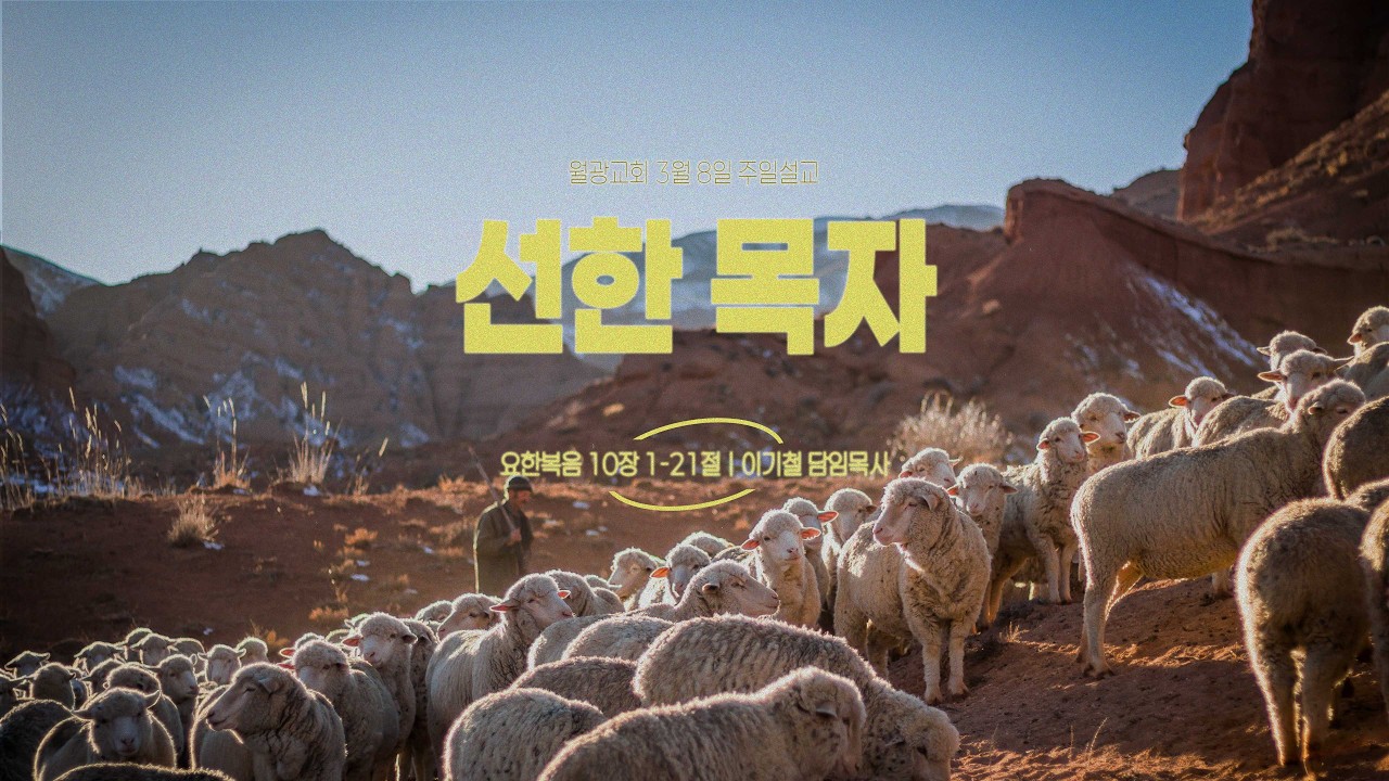 선한 목자ㅣ26.03.08(주) 월광교회 주일 3부 예배ㅣ요한복음 10장 1-21절ㅣ이기철 담임목사