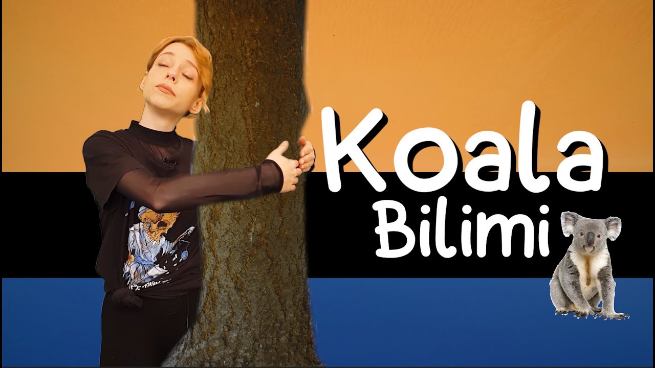 Koala Bilimi