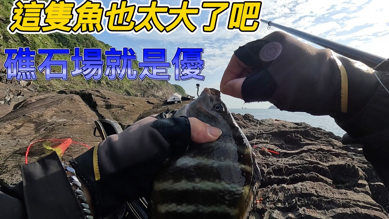 躲開東北季風的好地方~蘇澳三仙礁石區.今天跟上我的腳步帶大家來去東部海域釣魚了~西部沒魚啦! 蘇澳軍港外面最近聽說不錯玩 #遠投#磯釣#釣魚 #上礁 #凸達 #黑毛 #好吃雕 #倒吊魚
