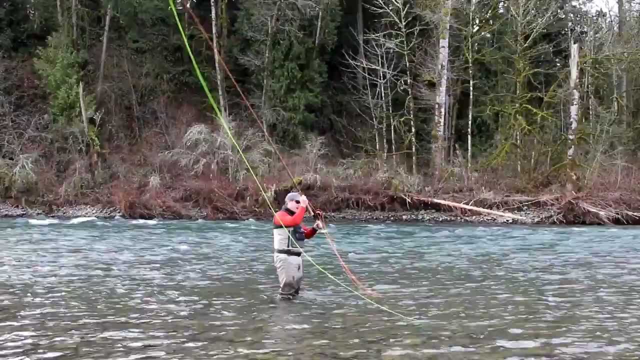 Airflo Skagit Compact Fly Line