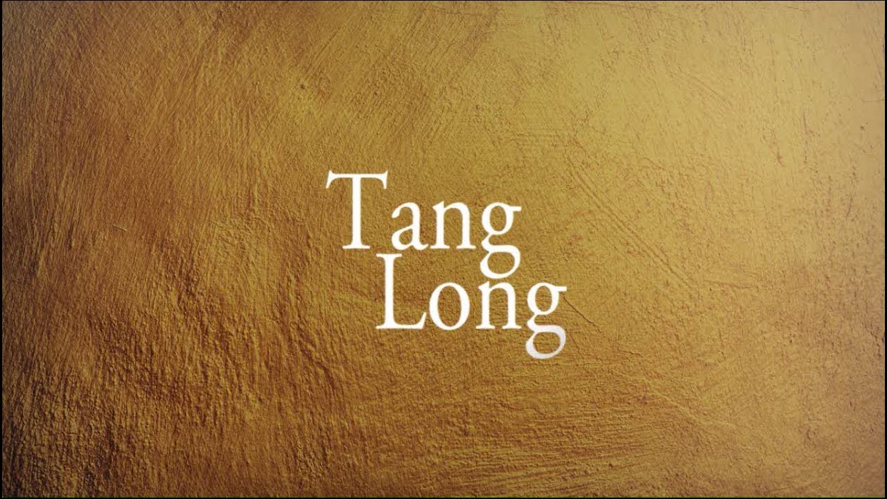 Tang Long & Shifu Heng Wei
