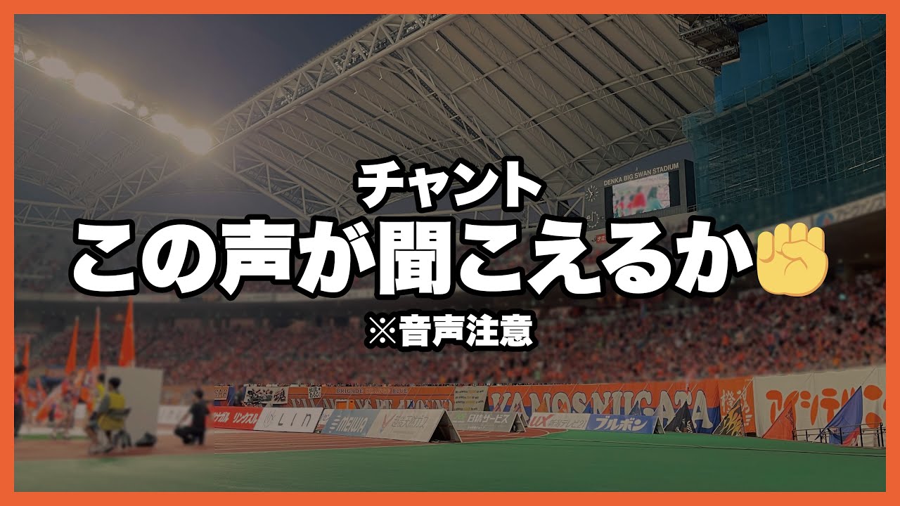 この声が聞こえるか／チャント【アルビレックス新潟】鹿島アントラーズ戦／2025明治安田J1リーグ第27節 #albirex #アルビレックス新潟