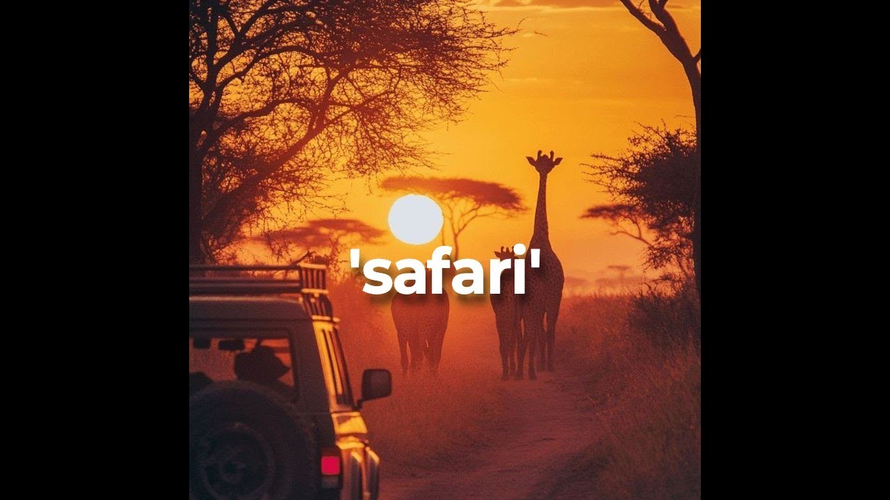 (FREE) Morad type beat - 'SAFARI'