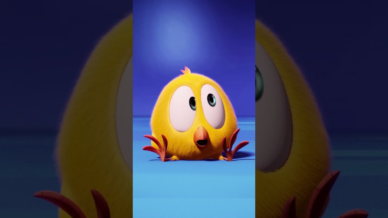 SHORTS CHICKY | CHICKY'S SONG 🎵 | Where's Chicky #shorts