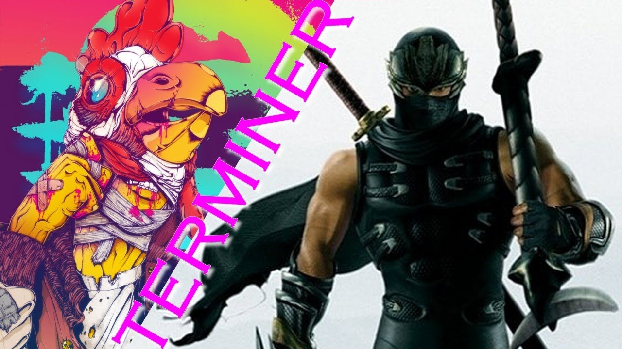 J'ai terminé : Ninja Gaiden 2 