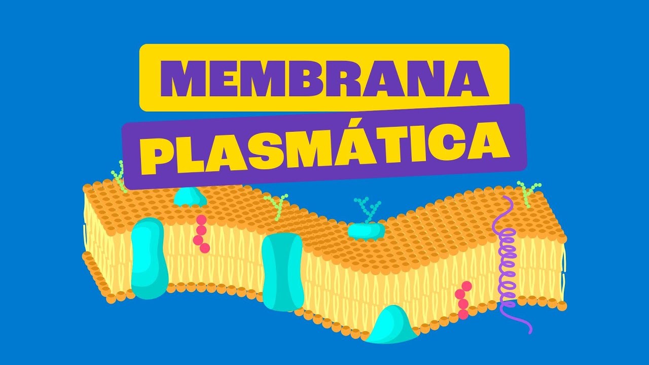 Membrana Plasm&aacute;tica - Toda Mat&eacute;ria