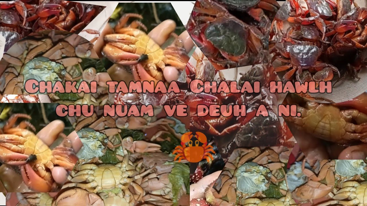 Mizo Lui Kal || Chakai Hawlh Hmuhnawm.🦀|| Road To 7k sub.🔥