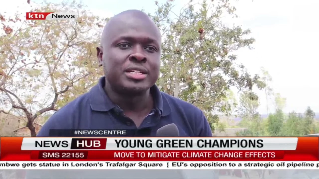 Young Green champions: Different schools plant 100 seedlings each to mitigate climate change effects