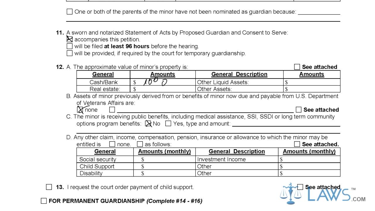 Petition for Temporary or Permanent Guardianship of Minor GN 3290