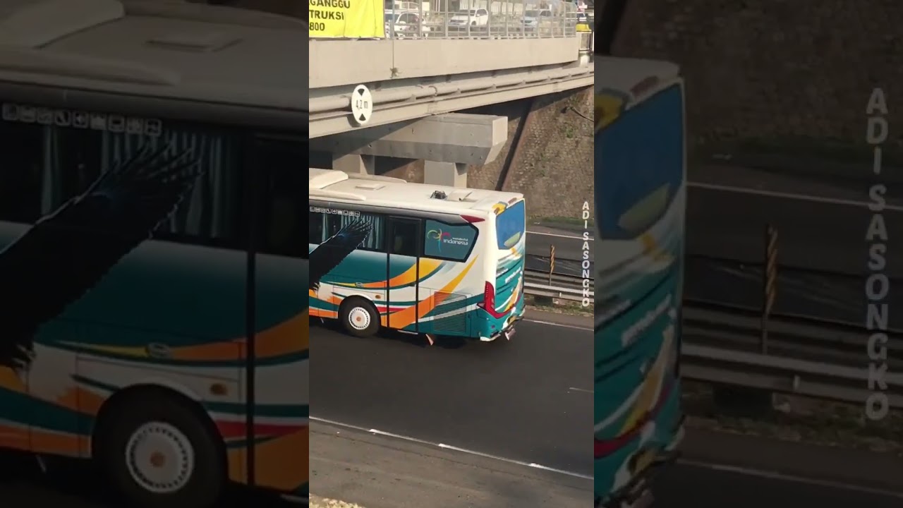 Garuda Mas single glass tampil rapih‼️ #garudamas #jetbus #busakap #shorts