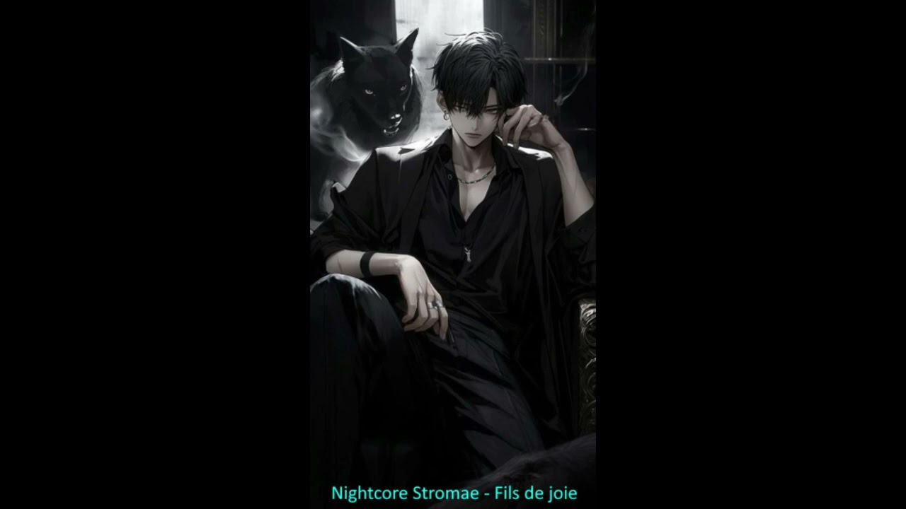 Nightcore Stromae - Fils de joie