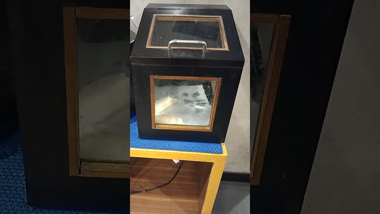 Freshly Baked Bun Inside Attractive Glass Box #shorts