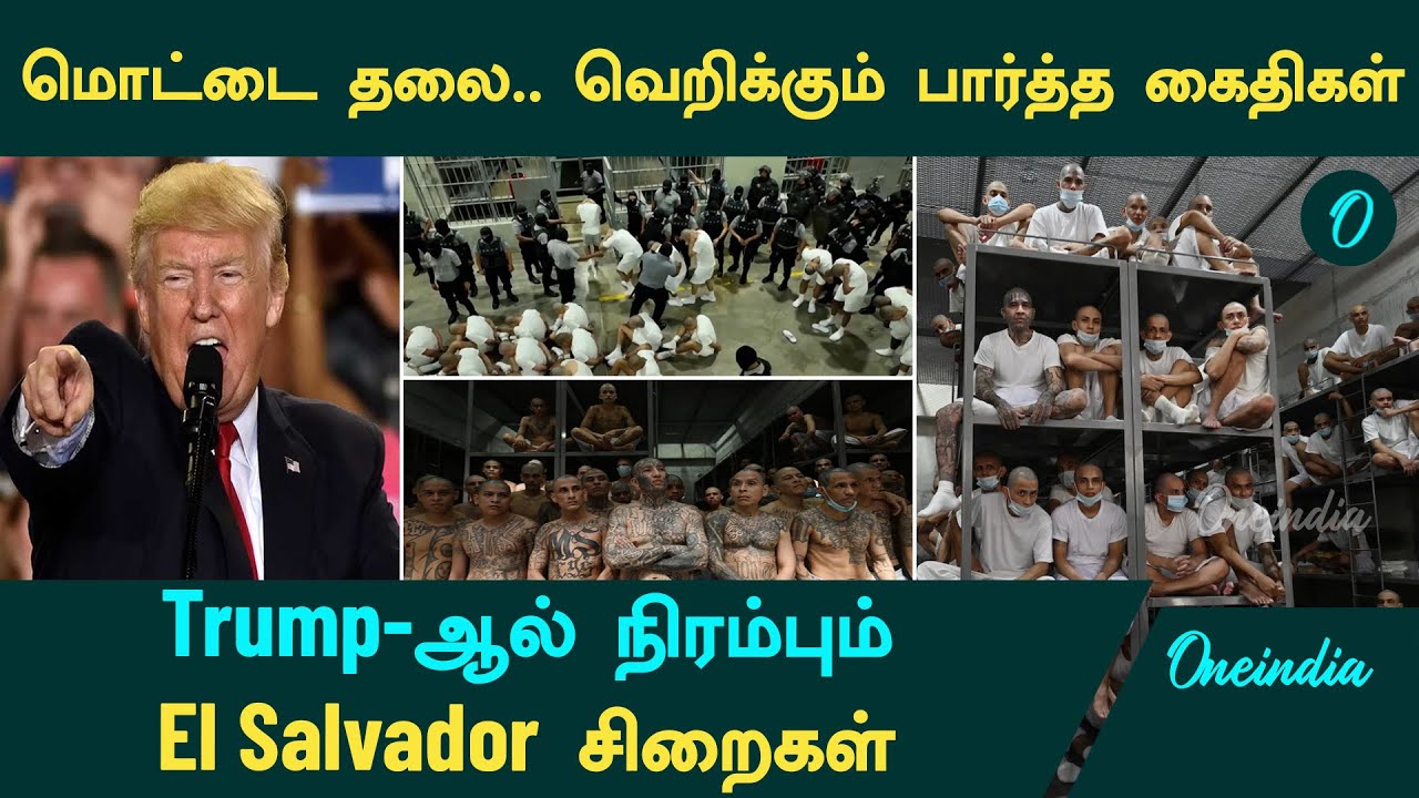 Trump -ஆல் நிரம்பும் El Salvador சிறைகள் | மொட்டை தலை.. வெறிக்கும் பார்த்த கைதிகள்