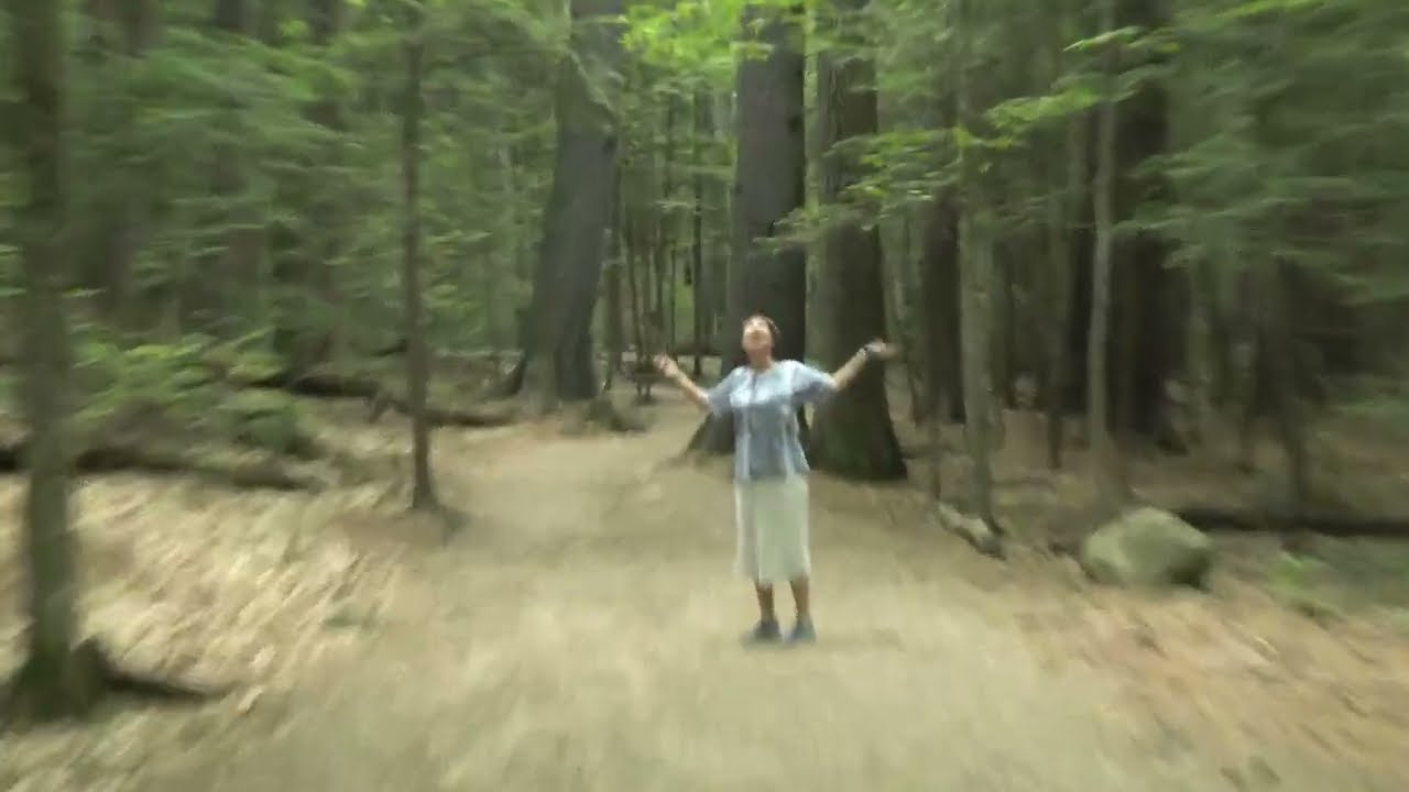 Diana's bath, north  Conway NH