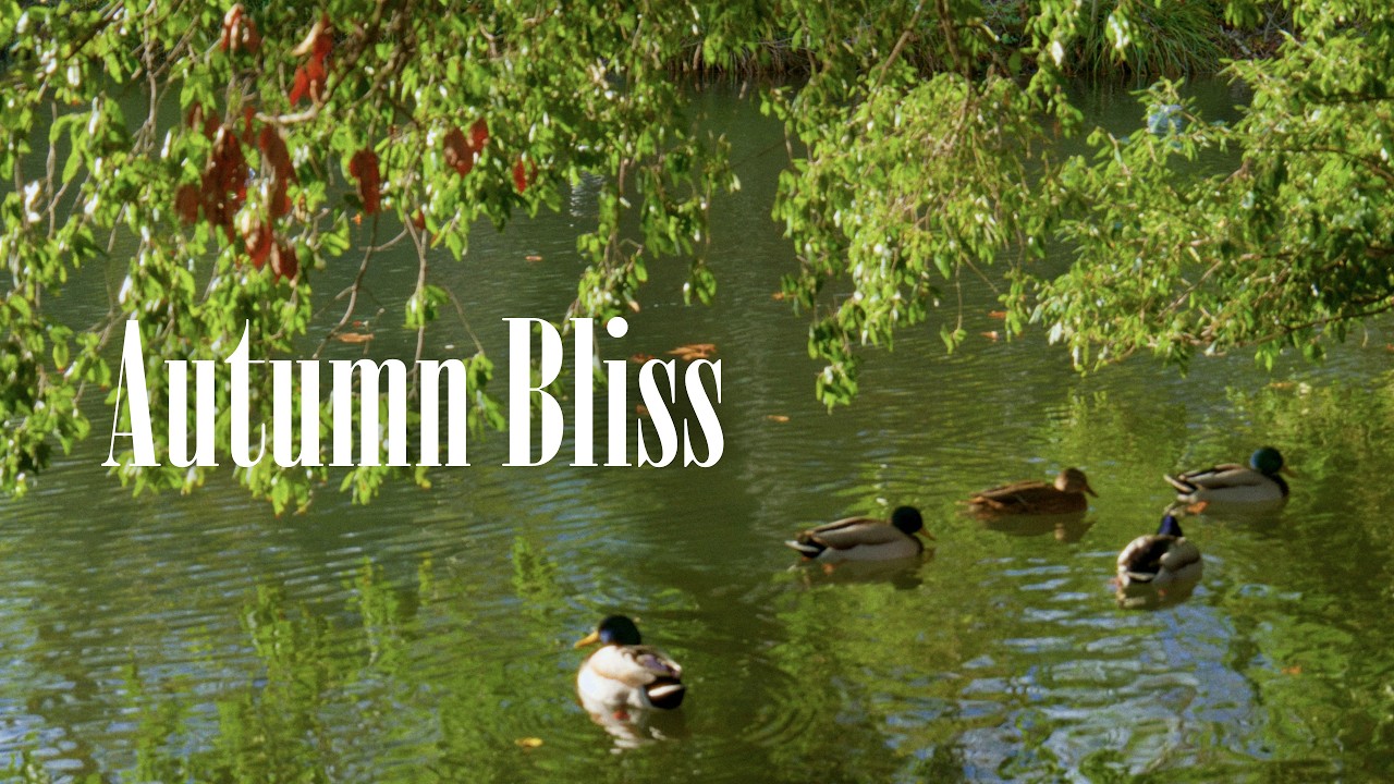 Autumn Wasn't Too Bad 