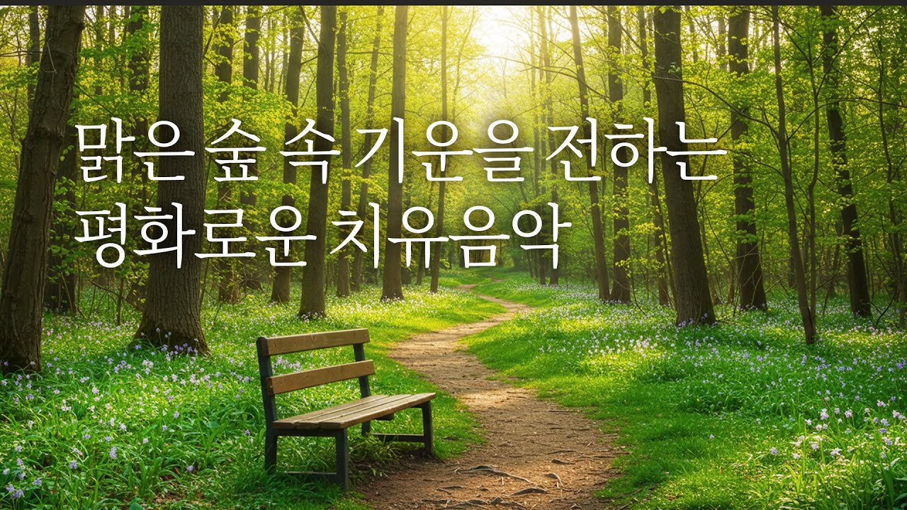 숲 속에 있는 듯🌳 10분만에 머리가 맑아지는 음악  | 3시간, 치유명상음악 새 소리 | Relaxing Music, Healing Music