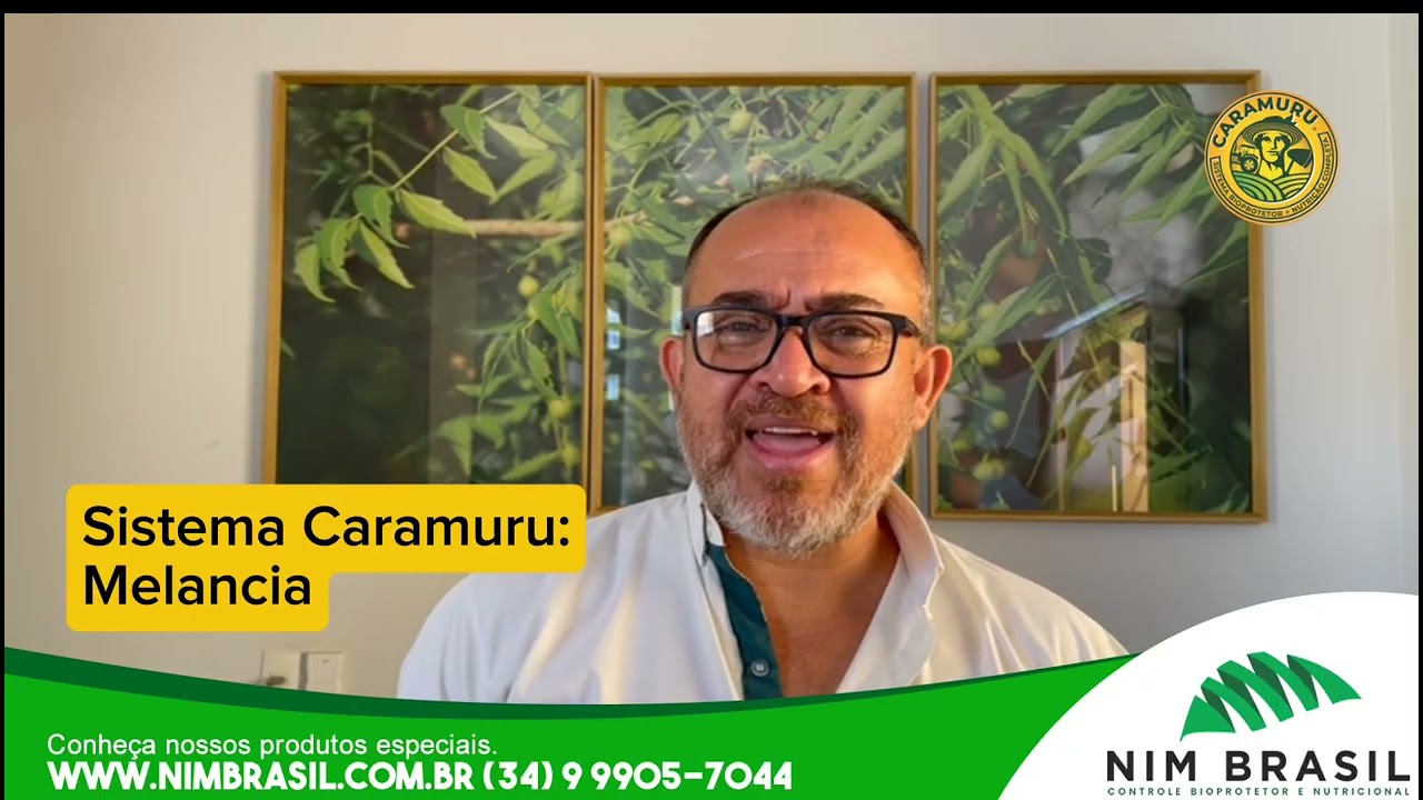 483 - Sistema Caramuru melancia: Redução do uso de inseticidas químicos, com uso de Bioprotetores.