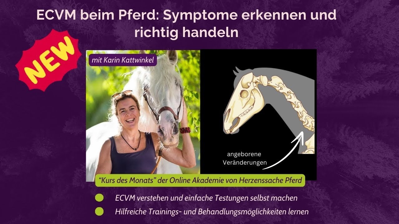 ECVM verstehen, erkennen und richtig trainieren mit Karin Kattwinkel